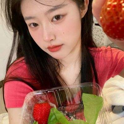 净化之径游戏下载